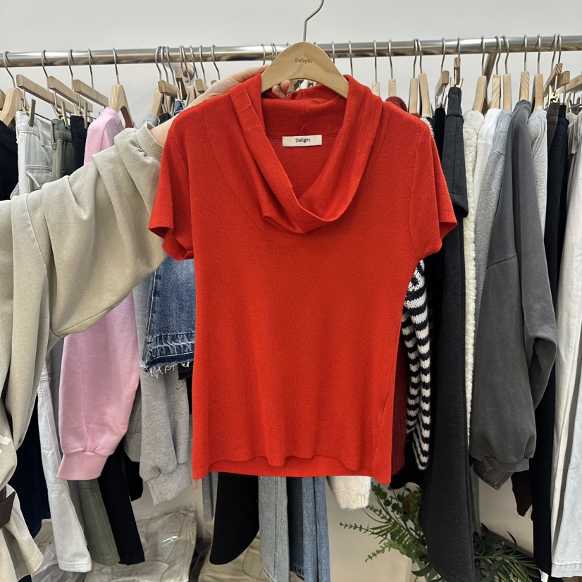 DELIGHT-L韓國直郵女士新品休閑26春夏職業時尚真品T恤高領DELIGHT-LT恤圖色3
