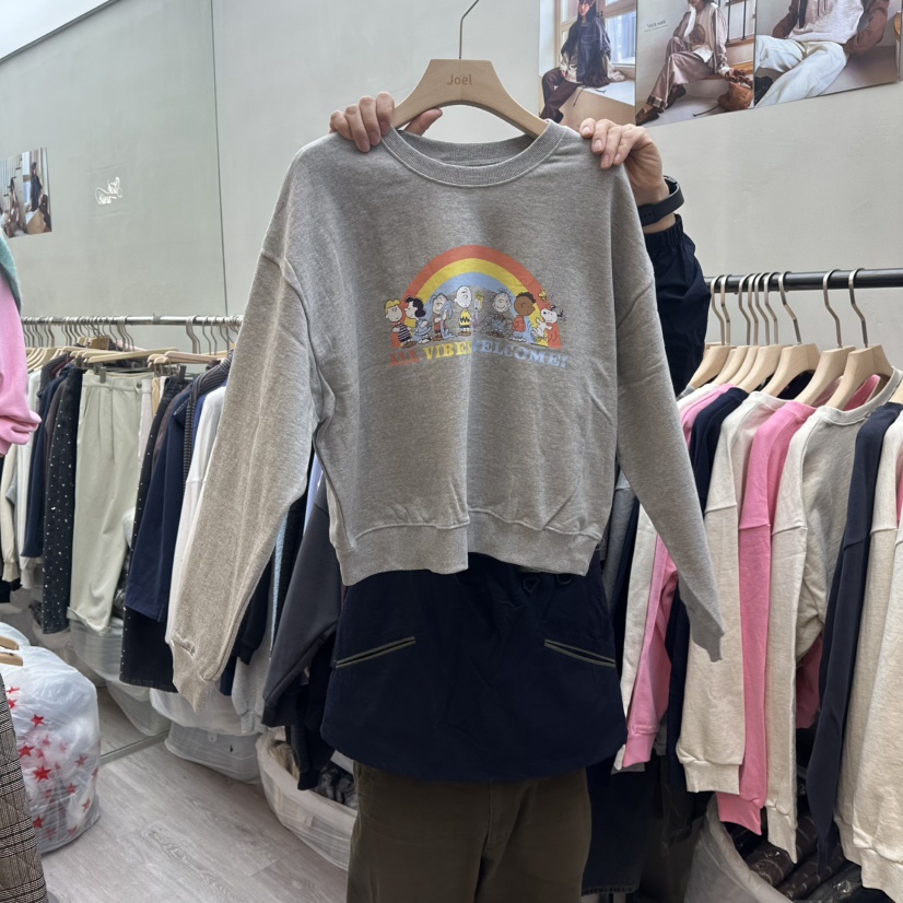 STICK WITH東大門代購女裝新品熱賣推薦人氣26春夏衛衣史努比STICK WITH衛衣圖色2