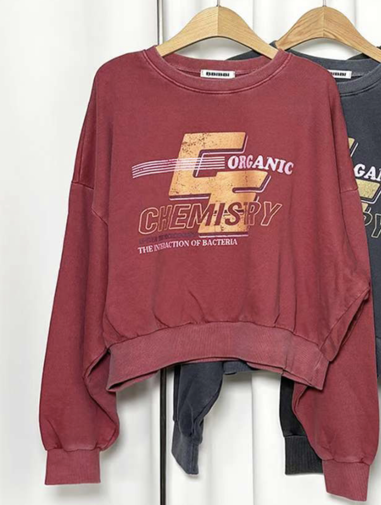 BBIBBICO東大門實拍女士新品26春夏熱賣休閑真品推薦衛衣BBIBBICO衛衣圖色1左二色