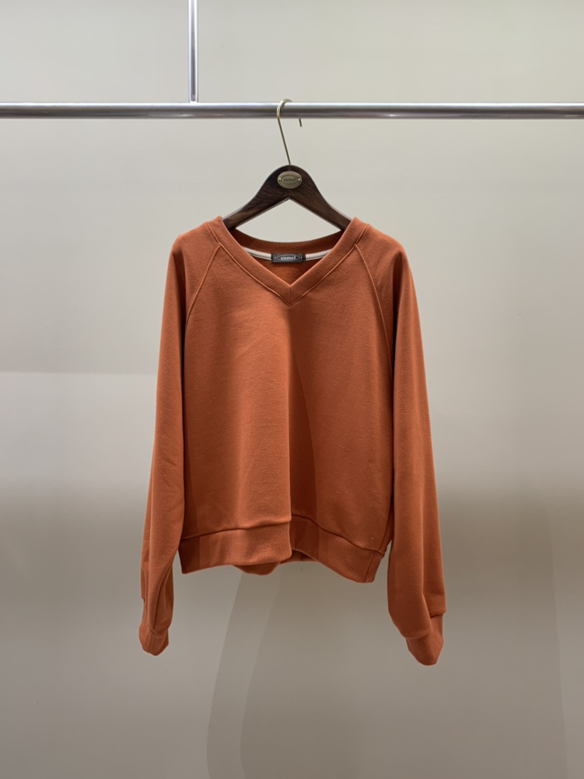 CAMEL-P東大門直郵女裝新款推薦衛衣V領Came_l 家衛衣圖色2