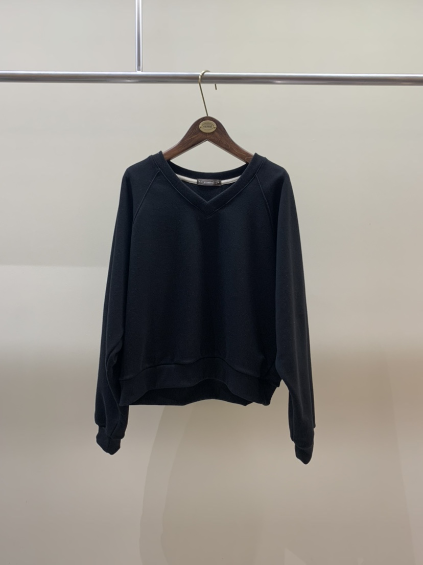 CAMEL-P東大門直郵女裝新款推薦衛衣V領Came_l 家衛衣圖色3