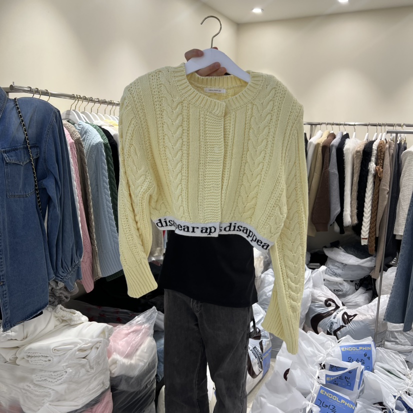 ENDOLPHIN東大門直郵女士新款職業26春夏時尚休閑推薦針織衫ENDOLPHIN針織衫圖色4