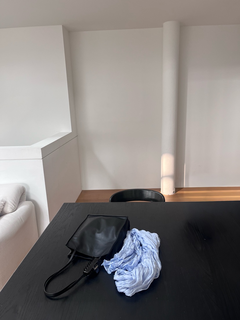 REGULARLY/PLACOR東大門代購女士新品26春夏熱賣單肩斜跨包REGULARLY/PLACOR單肩/斜跨包