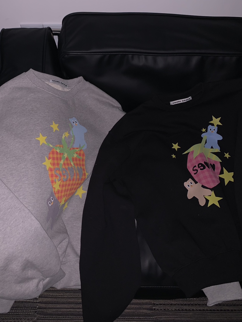 SEOLO東大門實拍女士新款職業熱賣26春夏休閑推薦真品衛衣Seolo seoul衛衣