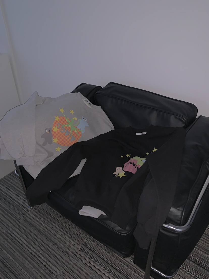 SEOLO東大門實拍女士新款職業熱賣26春夏休閑推薦真品衛衣Seolo seoul衛衣