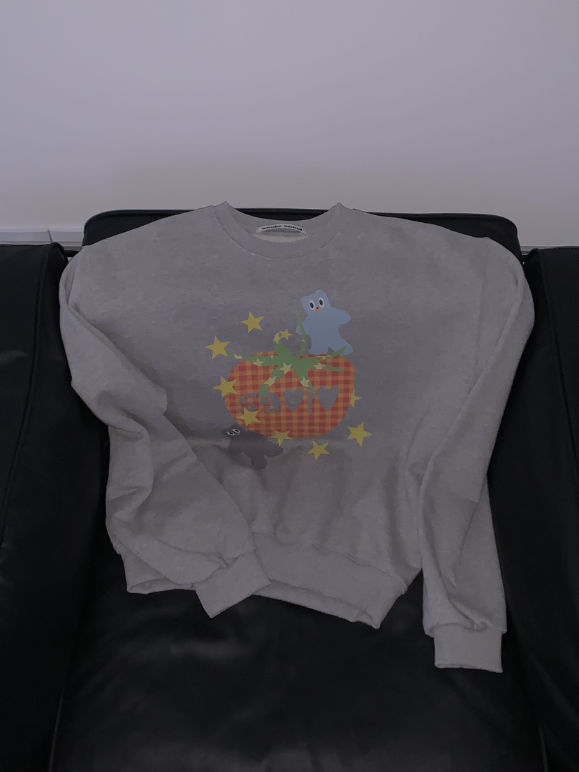 SEOLO東大門實拍女士新款職業熱賣26春夏休閑推薦真品衛衣Seolo seoul衛衣