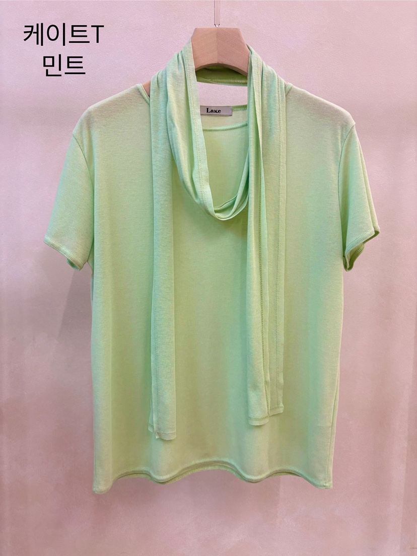 LAKE-A韓國直郵女士新品時尚休閑推薦職業熱賣T恤含圍巾Lake sideT恤圖色1