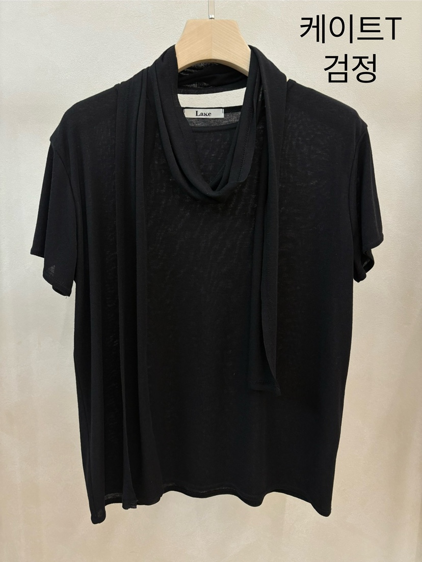 LAKE-A韓國直郵女士新品時尚休閑推薦職業熱賣T恤含圍巾Lake sideT恤圖色4