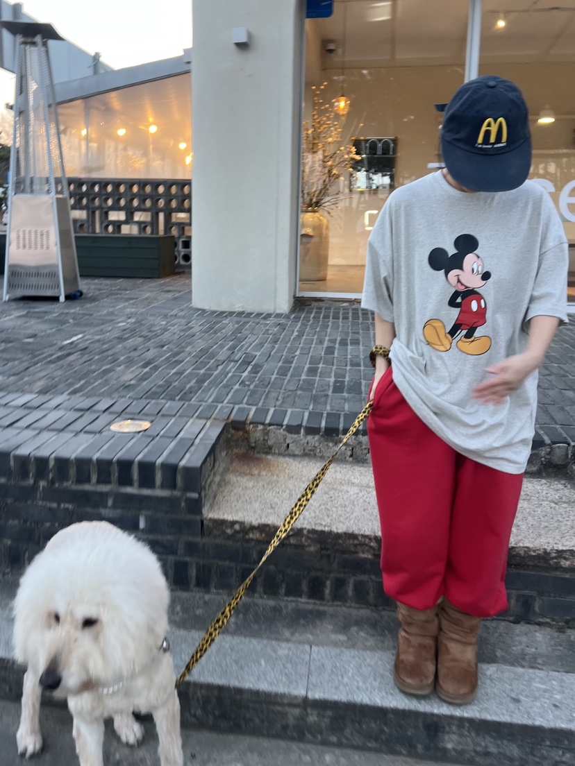 LIKEVAM東大門實拍女裝新款真品26春夏時尚人氣休閑推薦T恤LIKEVAMT恤