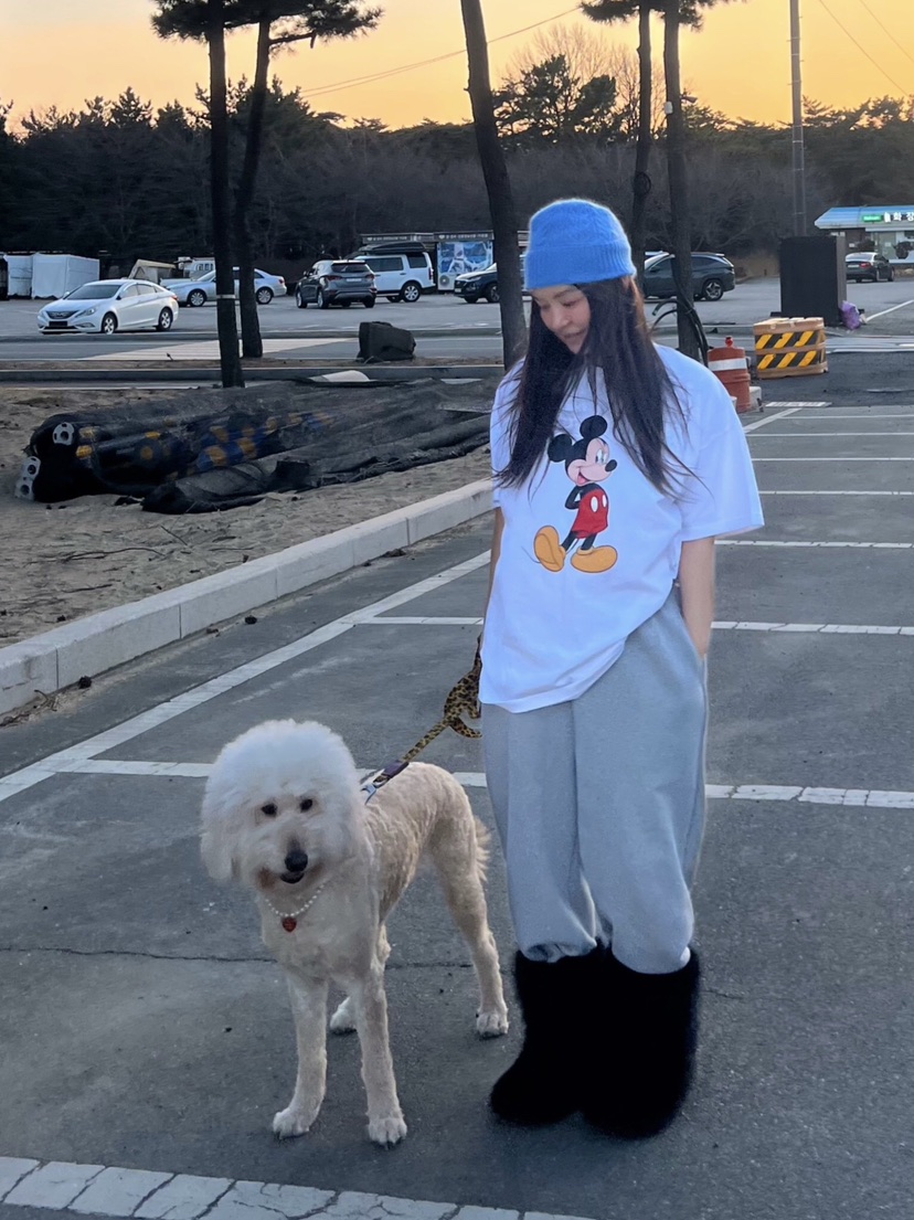 LIKEVAM東大門實拍女裝新款真品26春夏時尚人氣休閑推薦T恤LIKEVAMT恤