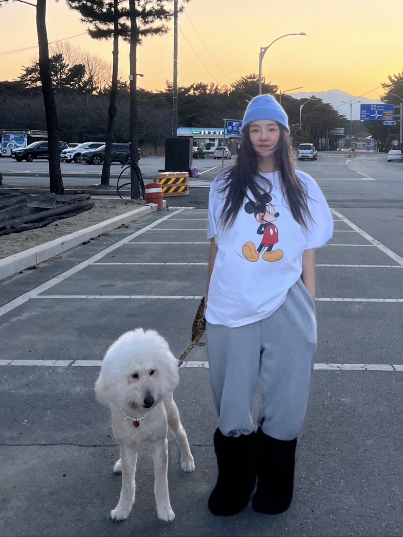 LIKEVAM東大門實拍女裝新款真品26春夏時尚人氣休閑推薦T恤LIKEVAMT恤