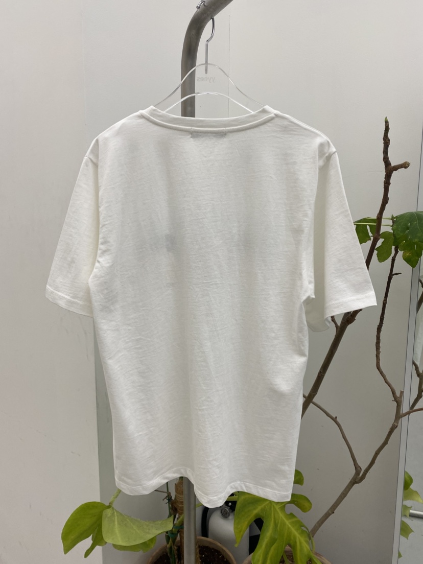 YES韓國直郵女士新品職業時尚真品26春夏人氣熱賣休閑T恤YEST恤