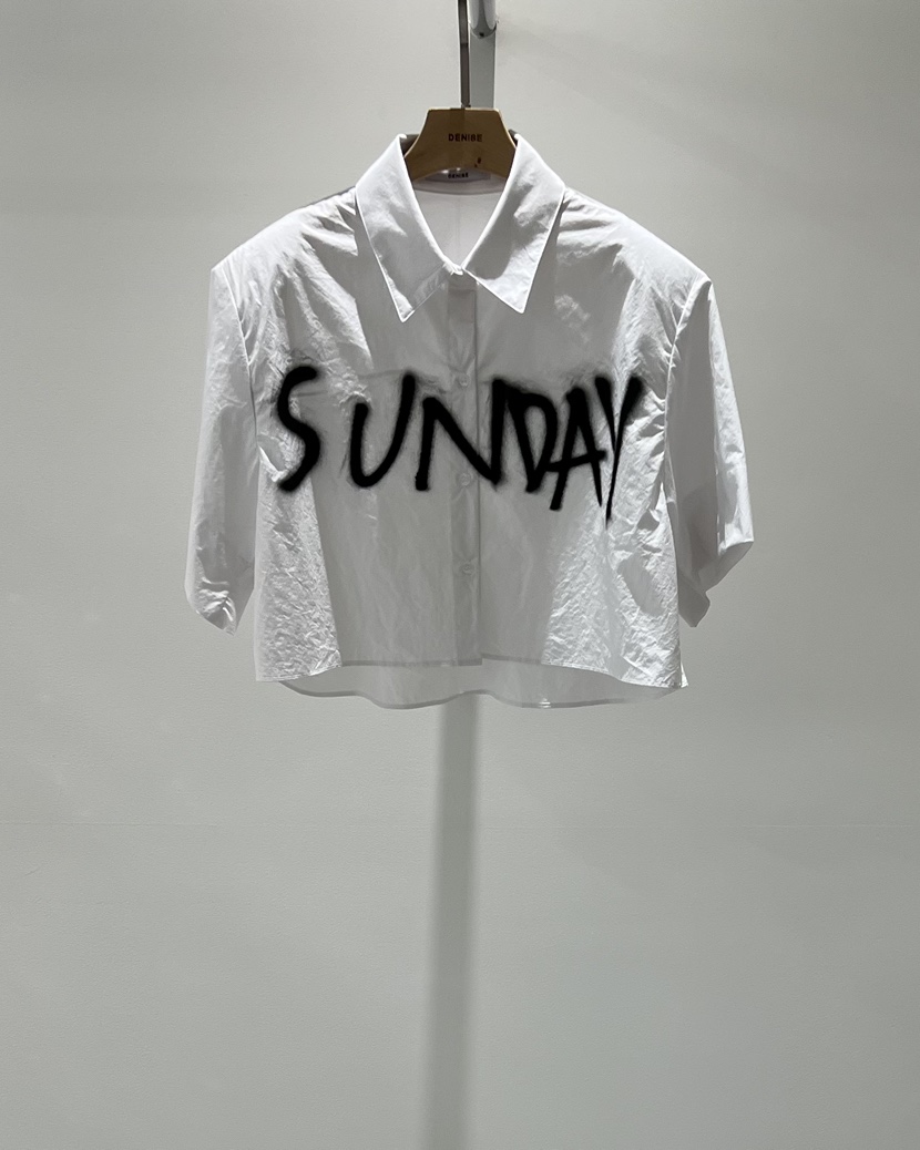 DENISE東大門代購女士新款時尚職業人氣熱賣26春夏襯衫蕾絲衫DENISE襯衫/蕾絲衫圖色1