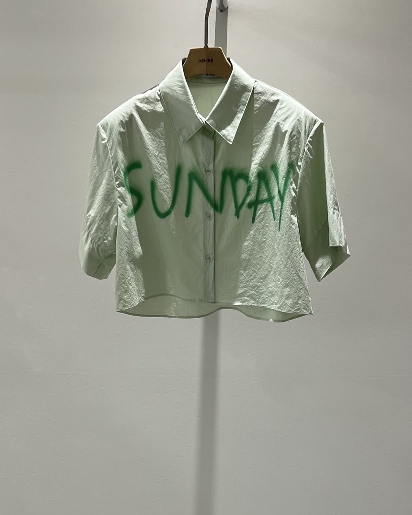 DENISE東大門代購女士新款時尚職業人氣熱賣26春夏襯衫蕾絲衫DENISE襯衫/蕾絲衫圖色2