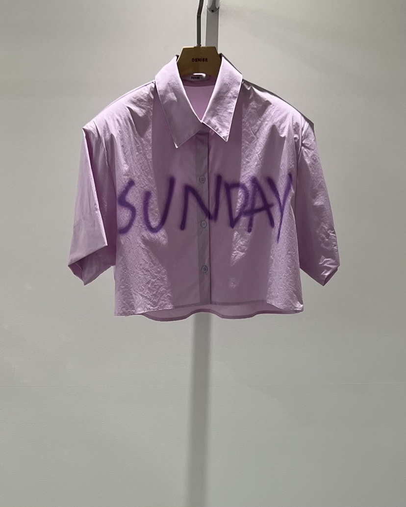 DENISE東大門代購女士新款時尚職業人氣熱賣26春夏襯衫蕾絲衫DENISE襯衫/蕾絲衫圖色3