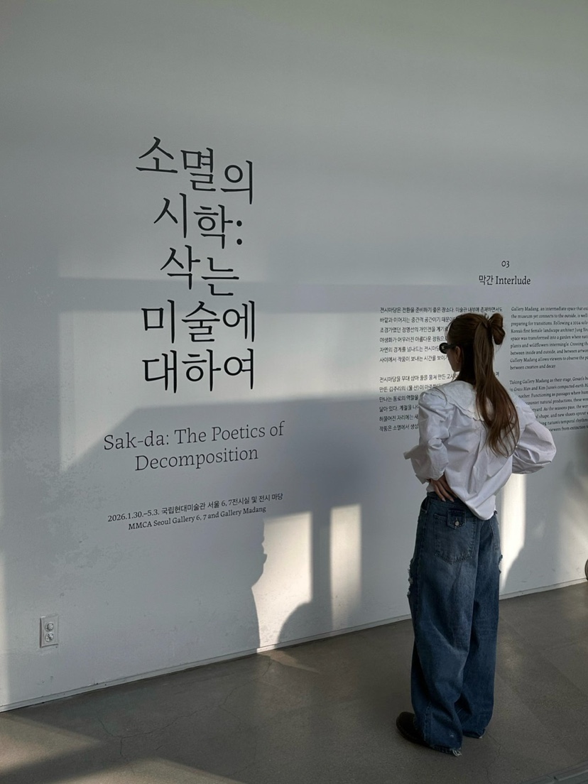 ZEROZERO東大門直郵女裝新品職業26春夏熱賣休閑襯衫蕾絲衫ZEROZERO襯衫/蕾絲衫