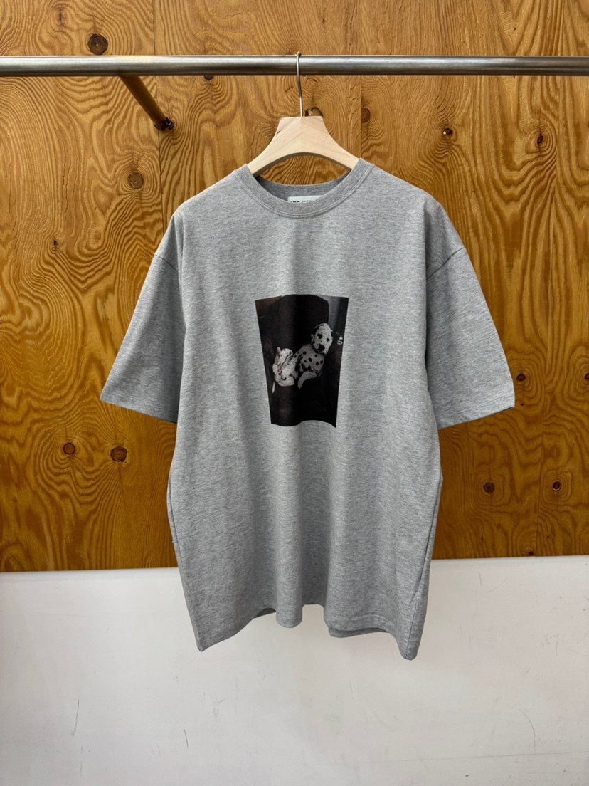 PROJECTVIEW韓國直郵女士新款時尚人氣職業真品休閑推薦T恤PROJECTVIEWT恤圖色2