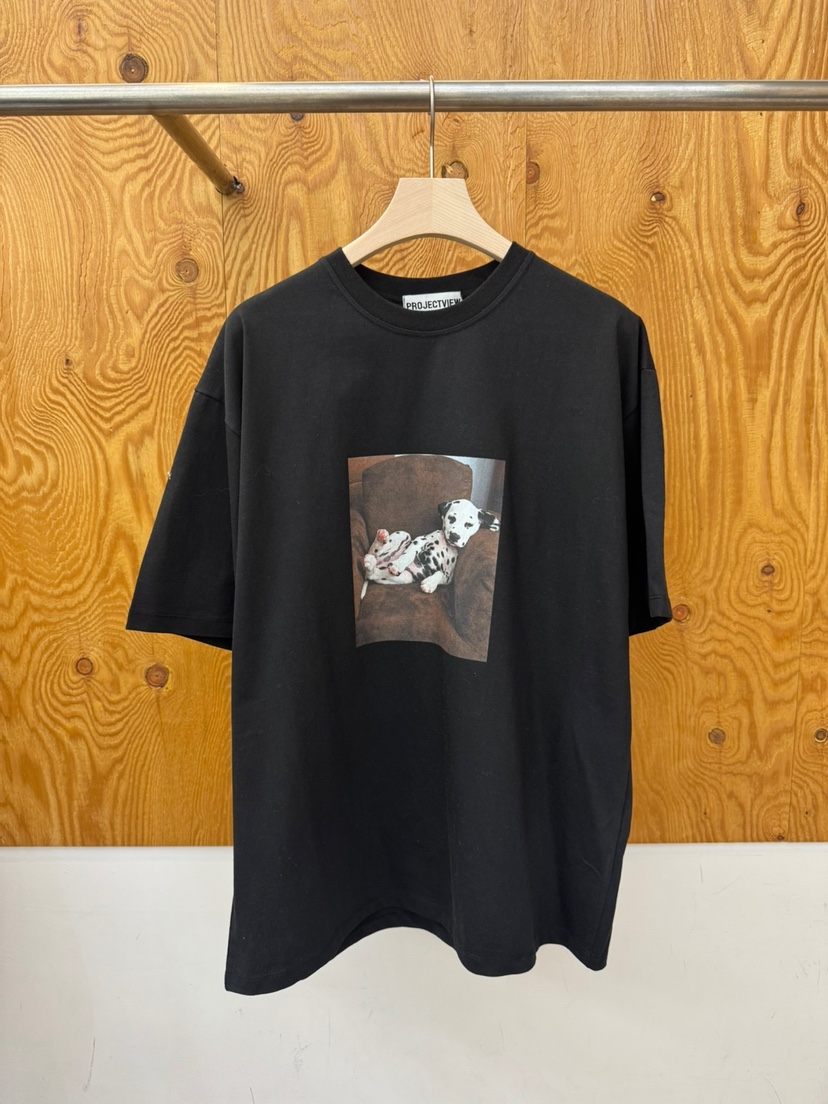 PROJECTVIEW韓國直郵女士新款時尚人氣職業真品休閑推薦T恤PROJECTVIEWT恤圖色3