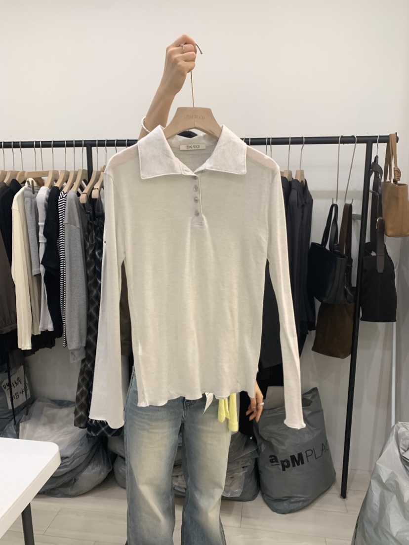 CEDARWOOD東大門實拍女士新款時尚熱賣長袖T恤不含內搭絲綢CEDAR WOOD長袖T恤圖色2