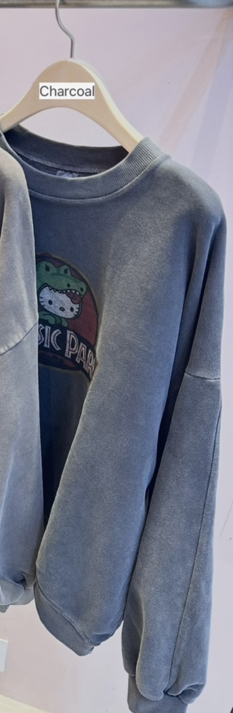 CRACKERS韓國代購女士新款職業推薦人氣26春夏休閑熱賣衛衣CRACKERS衛衣