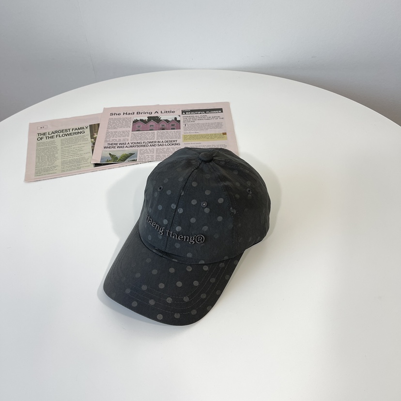 LOVELY HAT東大門實拍女士新款26春夏真品推薦時尚職業帽子LOVELY HAT帽子圖色3