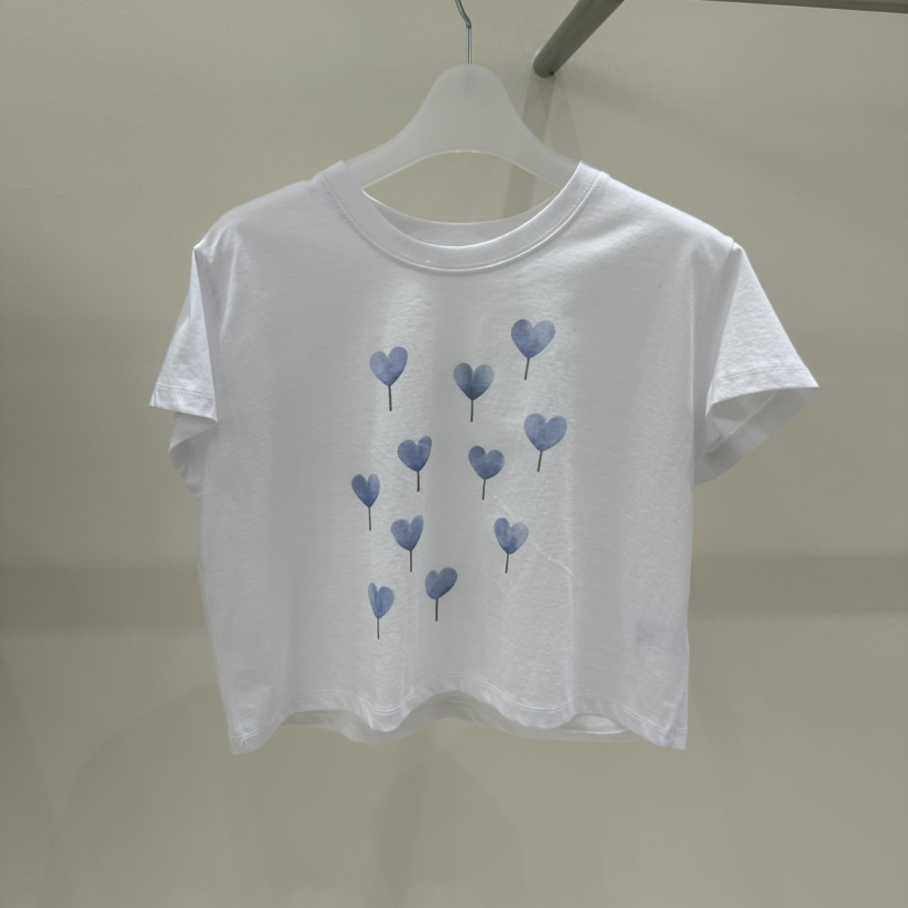 Ccds東大門直郵女裝新款熱賣職業時尚26春夏推薦休閑真品T恤CcdsT恤圖色1