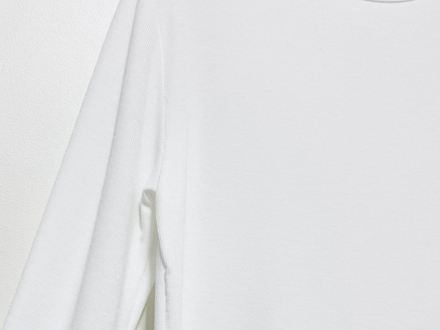 PLANTS ON GRAY東大門代購女裝新品人氣26春夏職業長袖T恤PLANTS ON GRAY長袖T恤