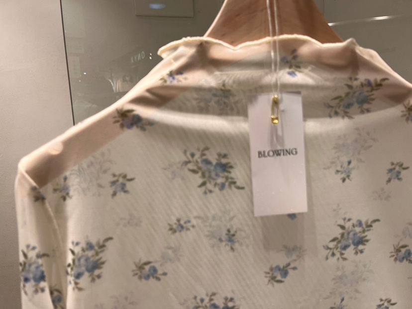 X東大門直郵女士新款真品休閑熱賣26春夏職業推薦長袖T恤BLOWING長袖T恤