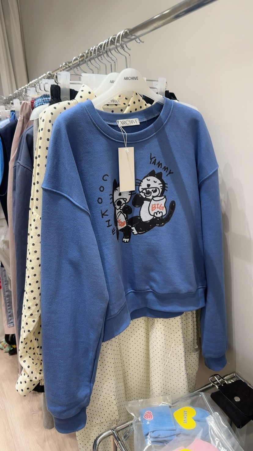 ARCHIVE-P東大門實拍女士新品真品26春夏時尚職業人氣衛衣ARCHIVE-P衛衣