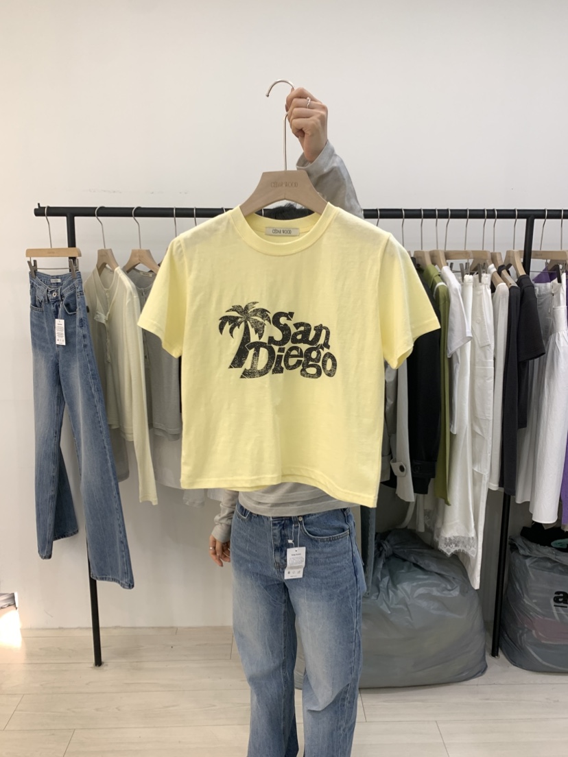 CEDARWOOD韓國東大門直郵女裝新款休閑職業推薦人氣熱賣T恤CEDAR WOODT恤圖色1