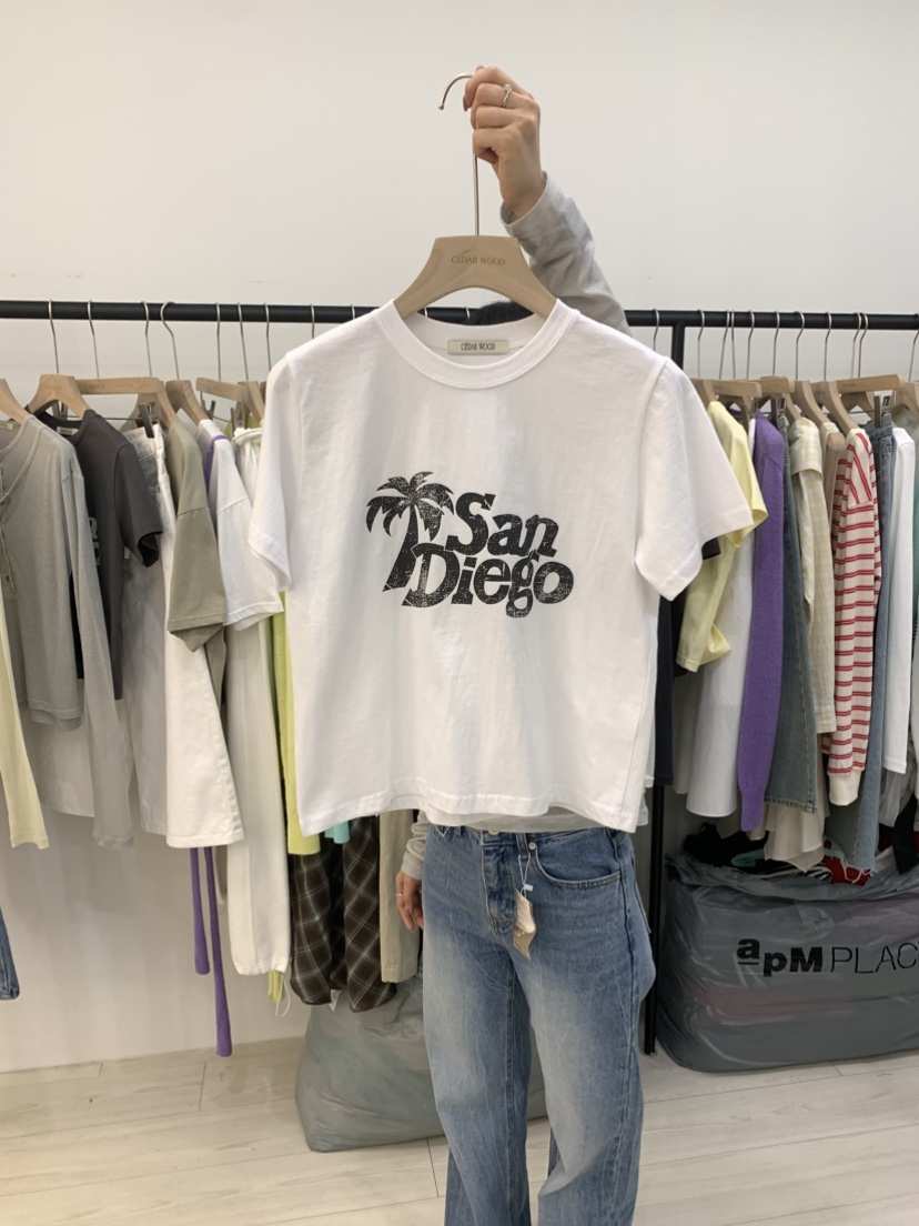 CEDARWOOD韓國東大門直郵女裝新款休閑職業推薦人氣熱賣T恤CEDAR WOODT恤圖色3