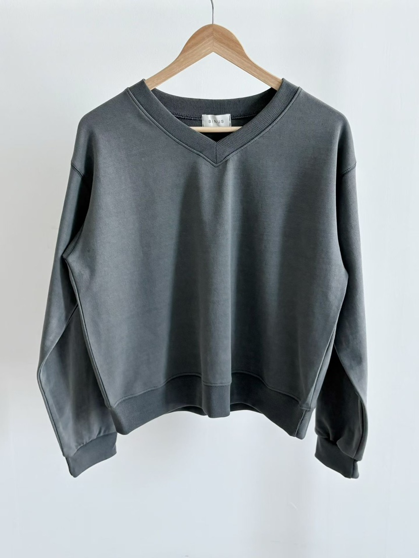 BINUS韓國直郵實拍女士新品26春夏熱賣休閑推薦時尚職業衛衣BINUS衛衣圖色3