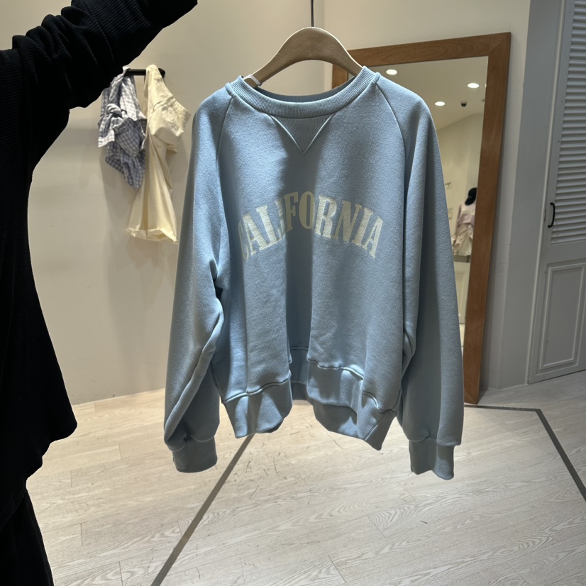 COPINER韓國東大門直郵女士新品休閑職業推薦熱賣人氣衛衣COPINER衛衣圖色3