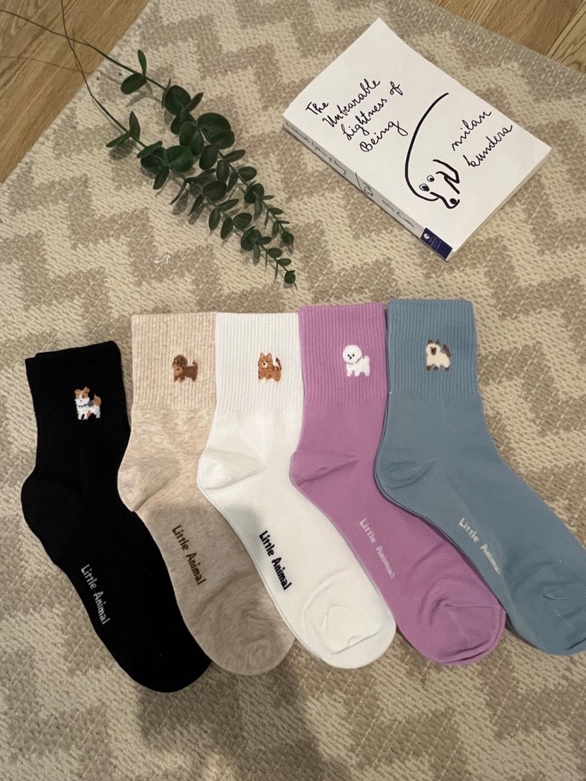 CACTUS-Q韓國東大門直郵女裝新品職業26春夏人氣休閑襪子CACTUS十雙起/可混搭襪子