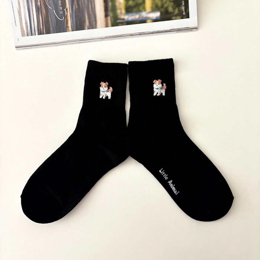 CACTUS-Q韓國東大門直郵女裝新品職業26春夏人氣休閑襪子CACTUS十雙起/可混搭襪子