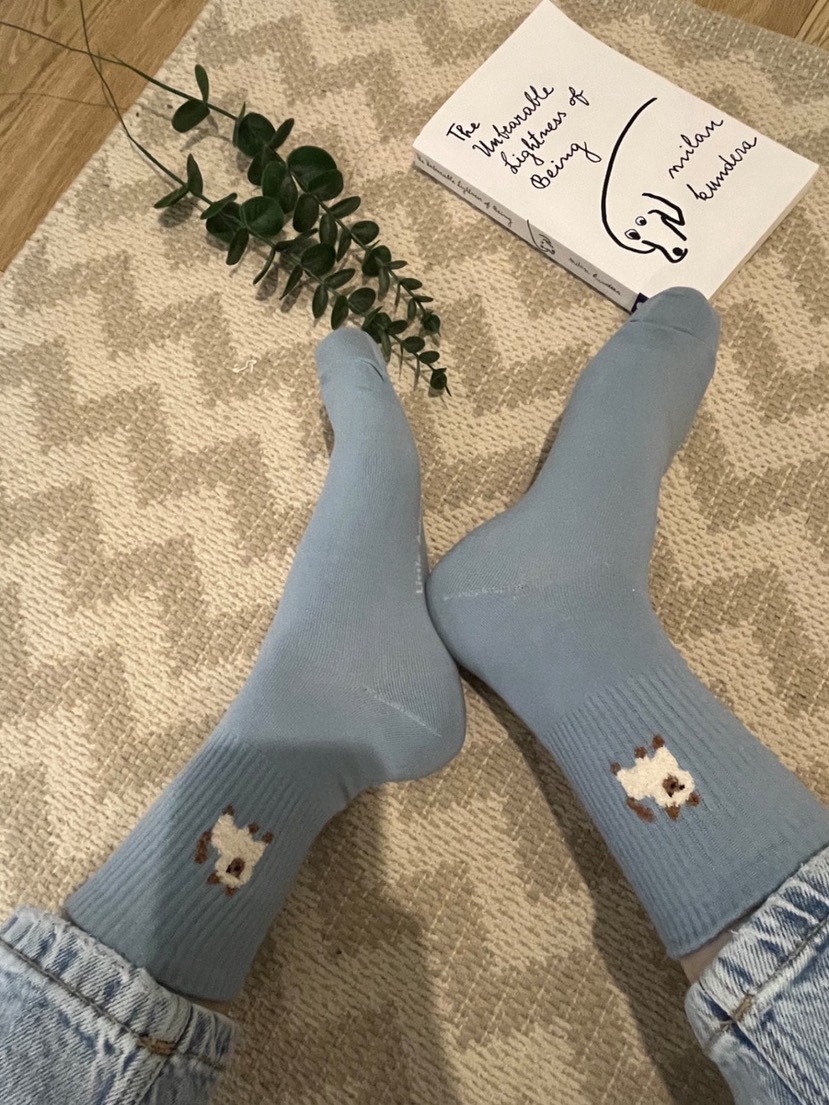 CACTUS-Q韓國東大門直郵女裝新品職業26春夏人氣休閑襪子CACTUS十雙起/可混搭襪子圖色3