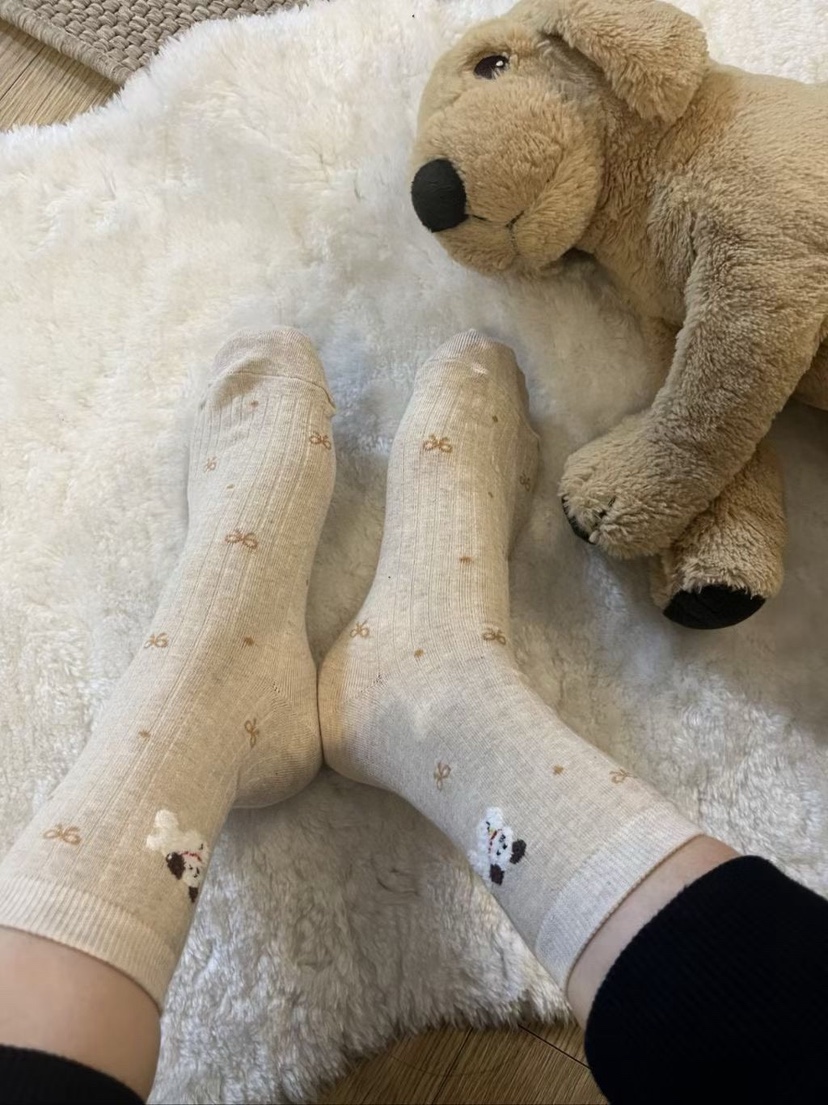 CACTUS-Q韓國代購女裝新品時尚職業休閑熱賣人氣推薦襪子CACTUS十雙起/可混搭襪子圖色3