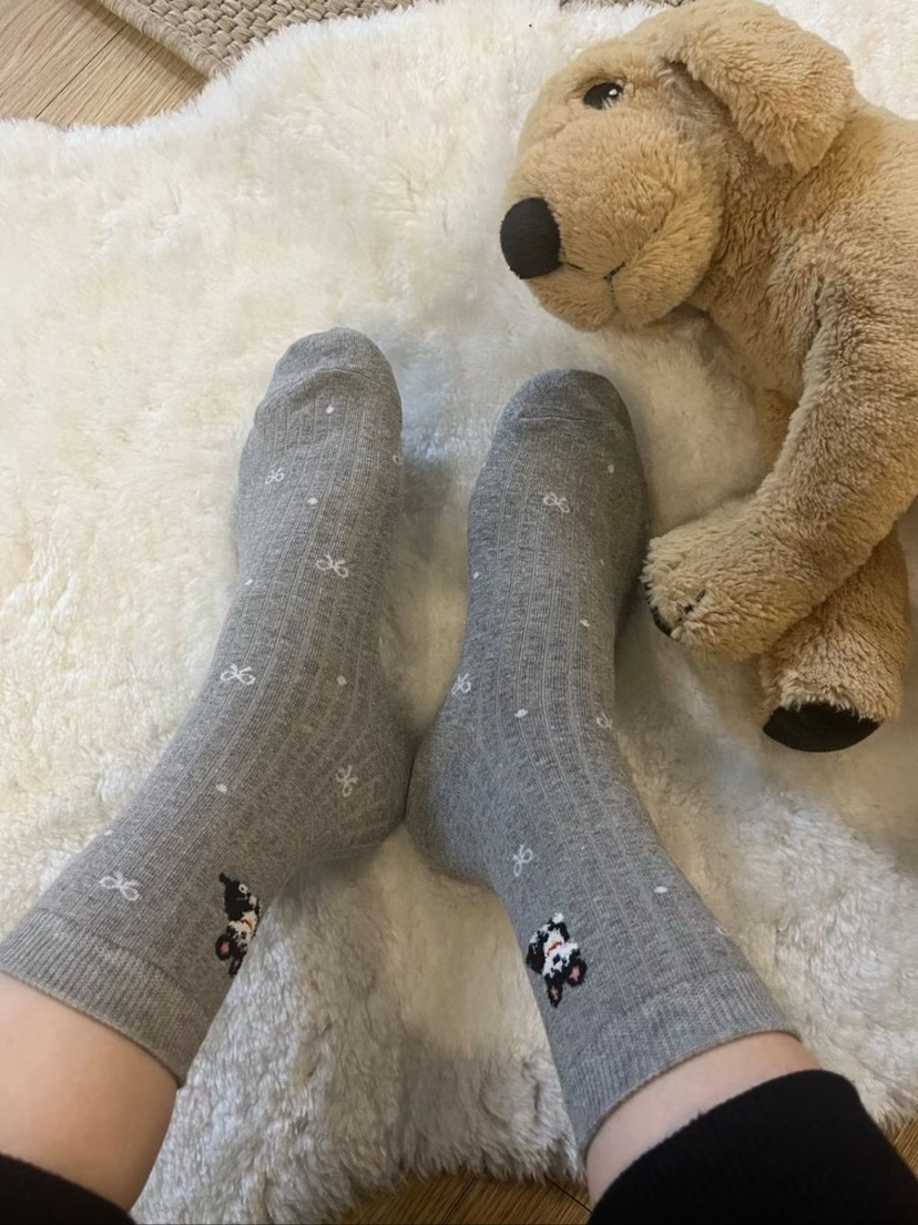 CACTUS-Q韓國代購女裝新品時尚職業休閑熱賣人氣推薦襪子CACTUS十雙起/可混搭襪子圖色4