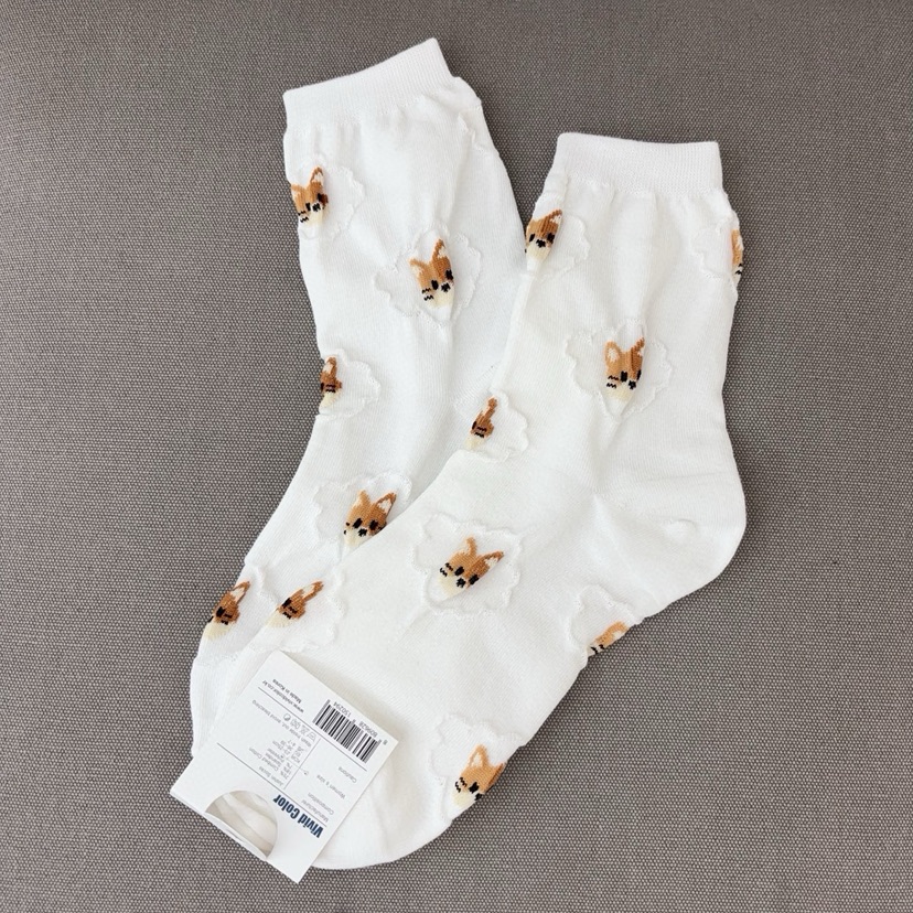 CACTUS-Q韓國直郵實拍女裝新款熱賣職業人氣推薦休閑襪子CACTUS十雙起/可混搭襪子圖色1