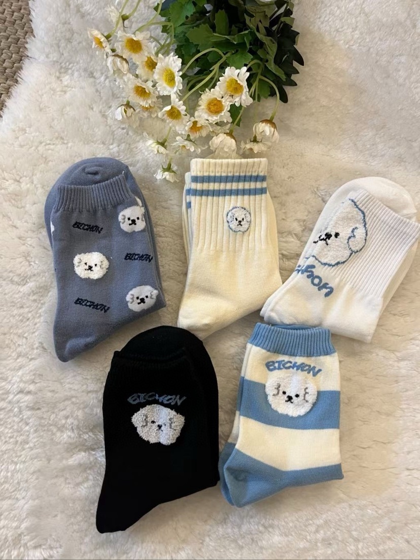 CACTUS-Q韓國直郵實拍女士新品熱賣時尚職業推薦人氣襪子CACTUS十雙起/可混搭襪子