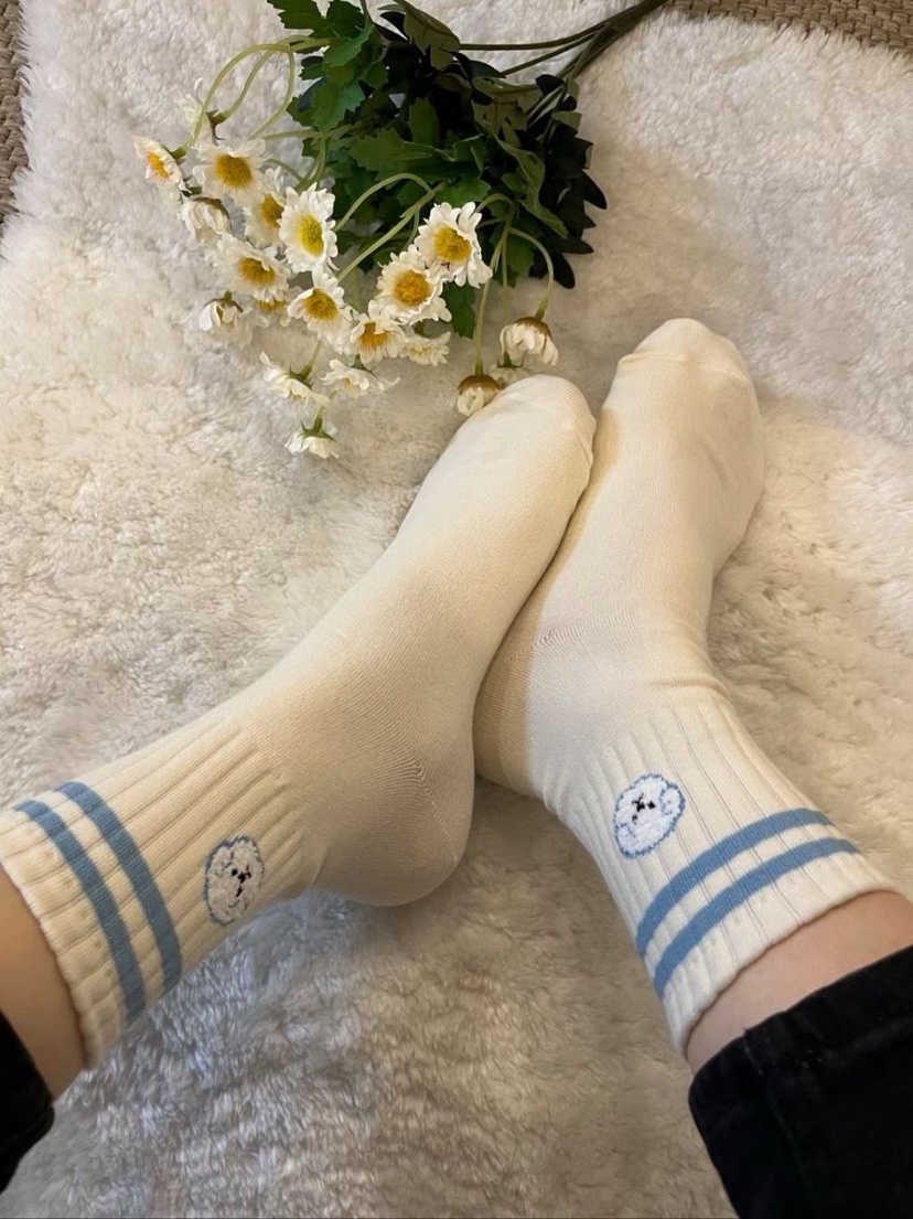 CACTUS-Q韓國直郵實拍女士新品熱賣時尚職業推薦人氣襪子CACTUS十雙起/可混搭襪子圖色2