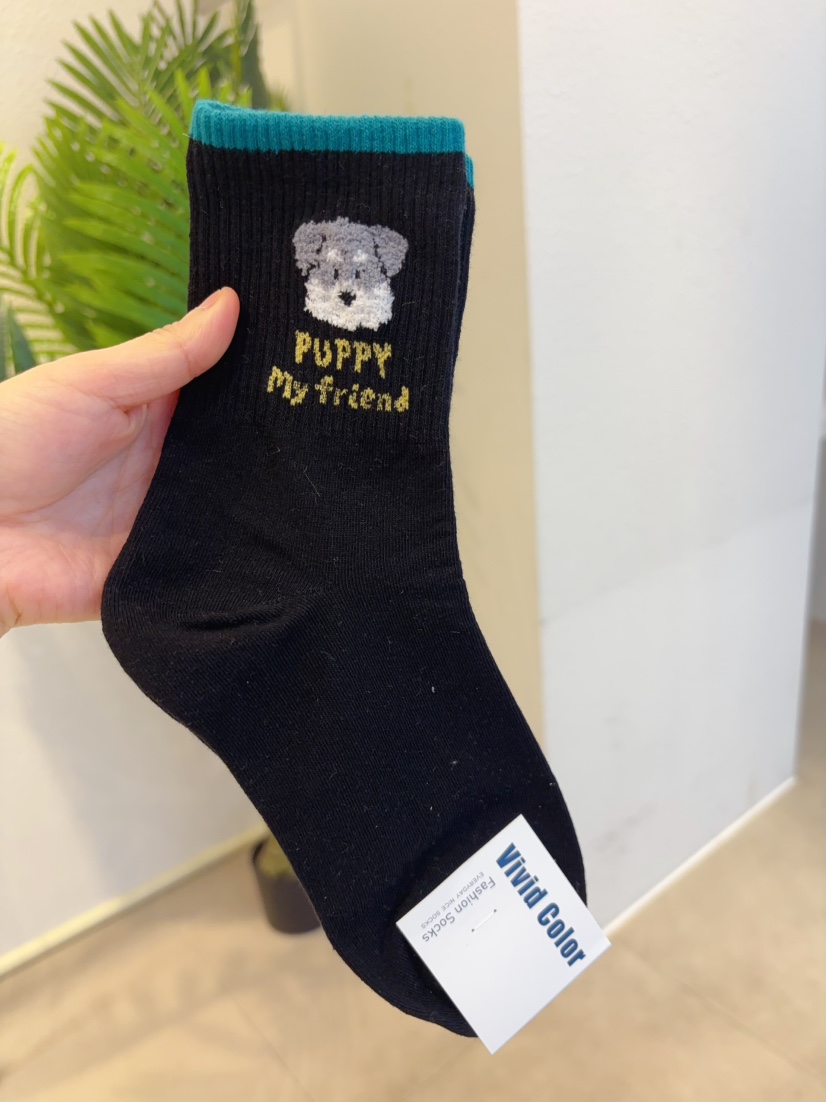 CACTUS-Q韓國代購女裝新款職業推薦人氣26春夏休閑時尚襪子CACTUS十雙起/可混搭襪子圖色4