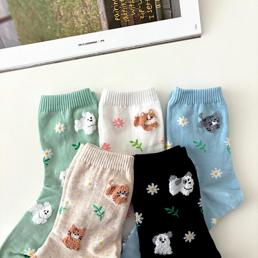 CACTUS-Q韓國直郵實拍女士新款26春夏熱賣休閑職業推薦襪子CACTUS十雙起/可混搭襪子