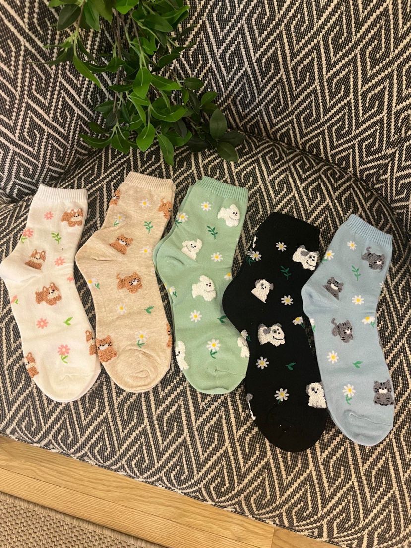 CACTUS-Q韓國直郵實拍女士新款26春夏熱賣休閑職業推薦襪子CACTUS十雙起/可混搭襪子