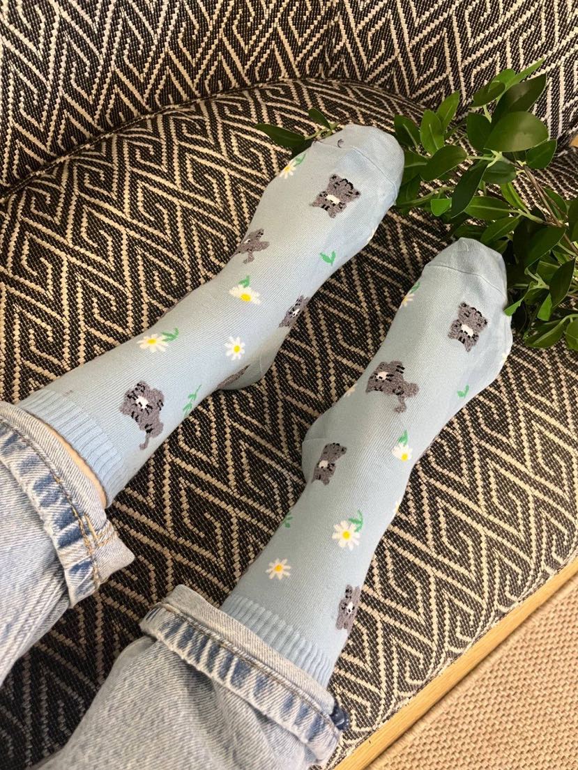 CACTUS-Q韓國直郵實拍女士新款26春夏熱賣休閑職業推薦襪子CACTUS十雙起/可混搭襪子