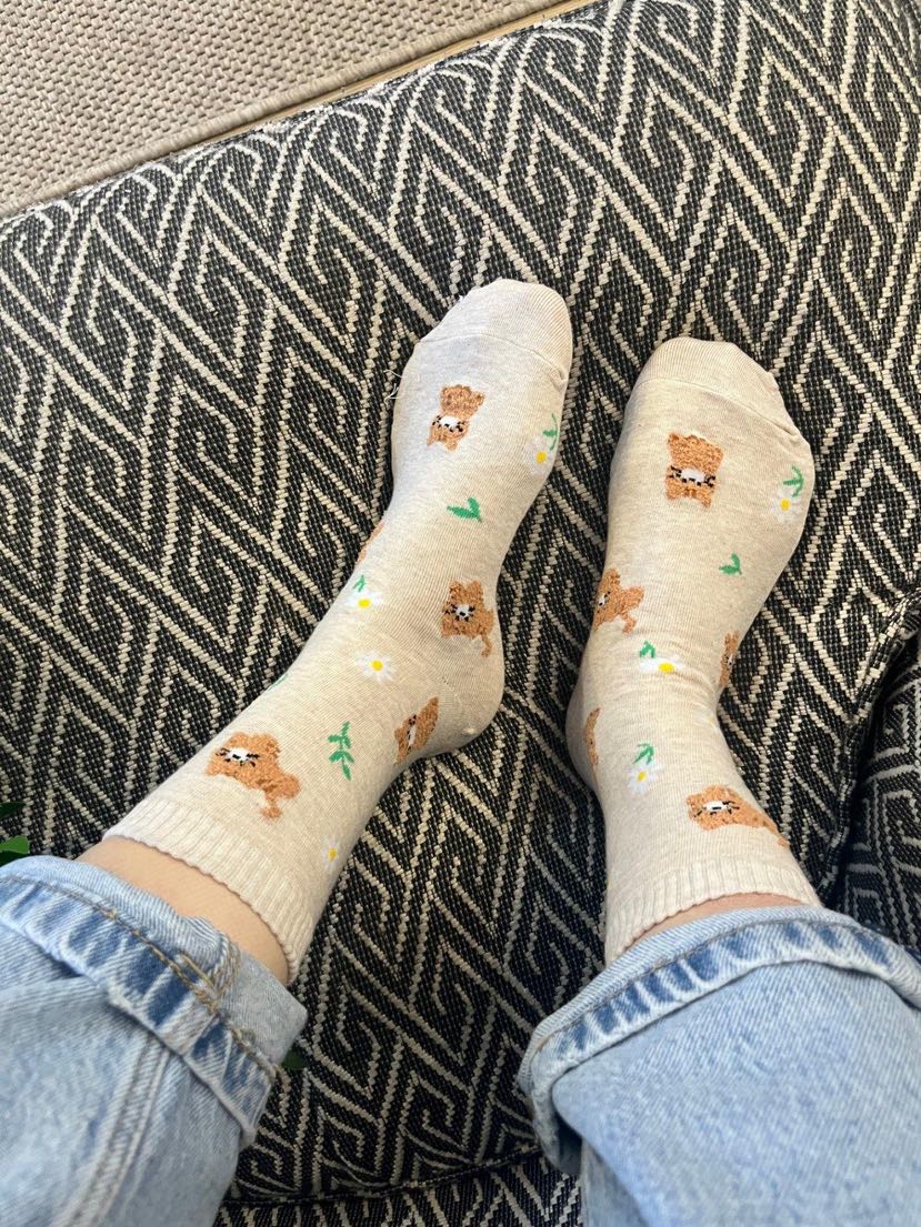 CACTUS-Q韓國直郵實拍女士新款26春夏熱賣休閑職業推薦襪子CACTUS十雙起/可混搭襪子