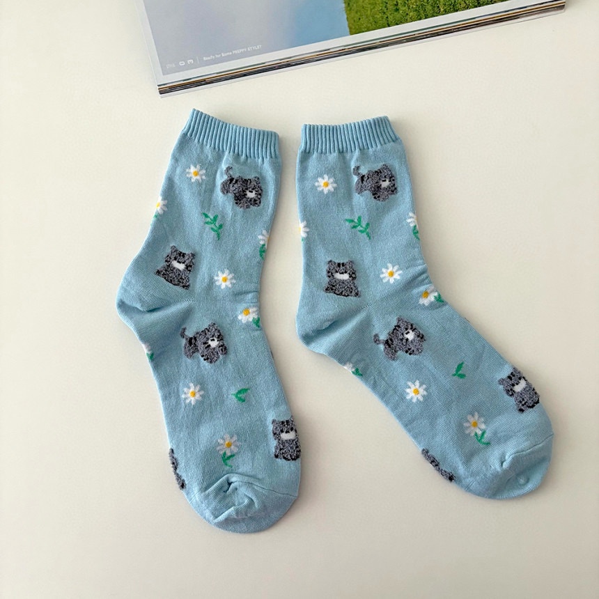 CACTUS-Q韓國直郵實拍女士新款26春夏熱賣休閑職業推薦襪子CACTUS十雙起/可混搭襪子圖色4