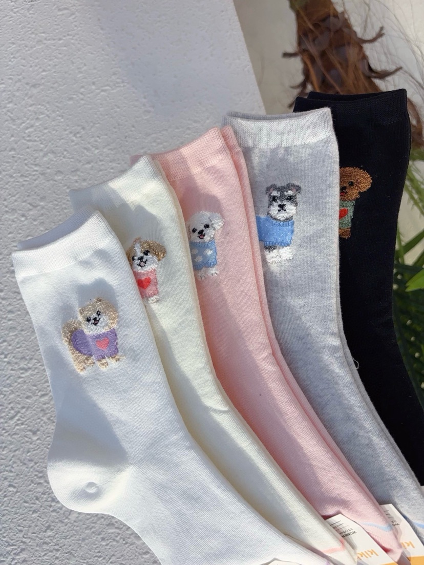 CACTUS-Q韓國代購女士新款推薦熱賣職業時尚26春夏人氣襪子CACTUS十雙起/可混搭襪子