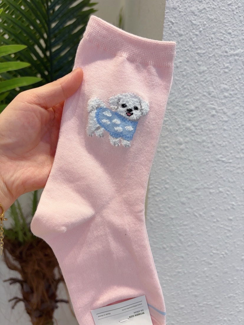 CACTUS-Q韓國代購女士新款推薦熱賣職業時尚26春夏人氣襪子CACTUS十雙起/可混搭襪子圖色3