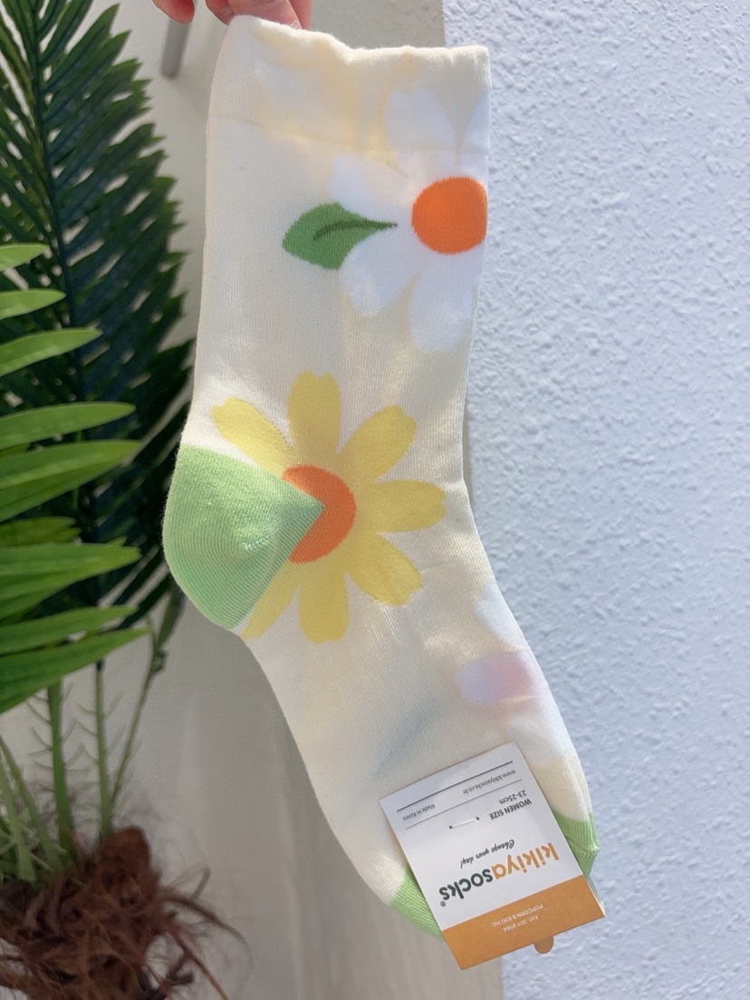 CACTUS-Q韓國東大門直郵女裝新品26春夏人氣職業時尚襪子CACTUS十雙起/可混搭襪子圖色2